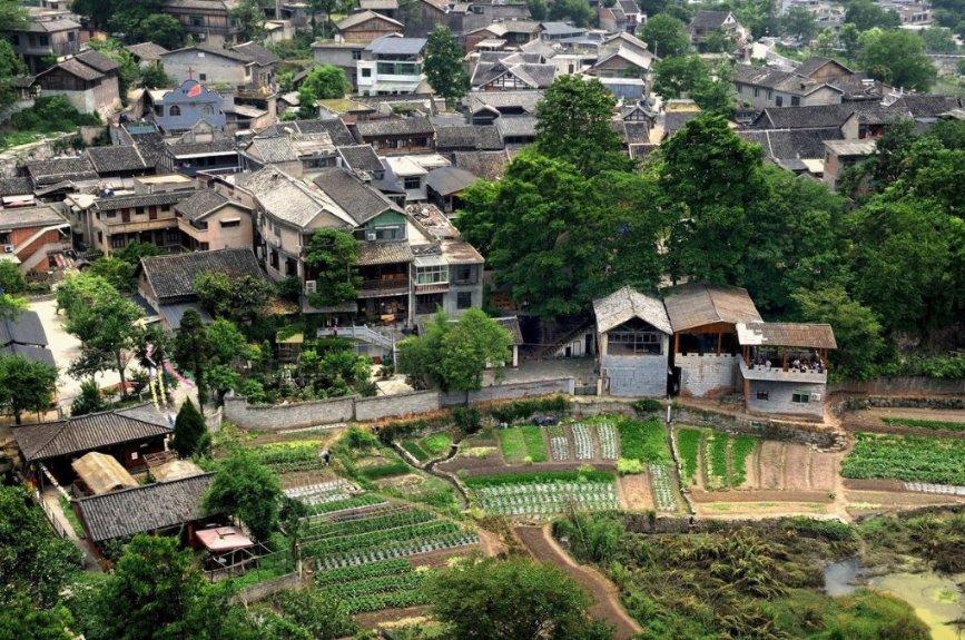 江苏太仓:“银发学堂”火热开讲 助力老人安全“入网”